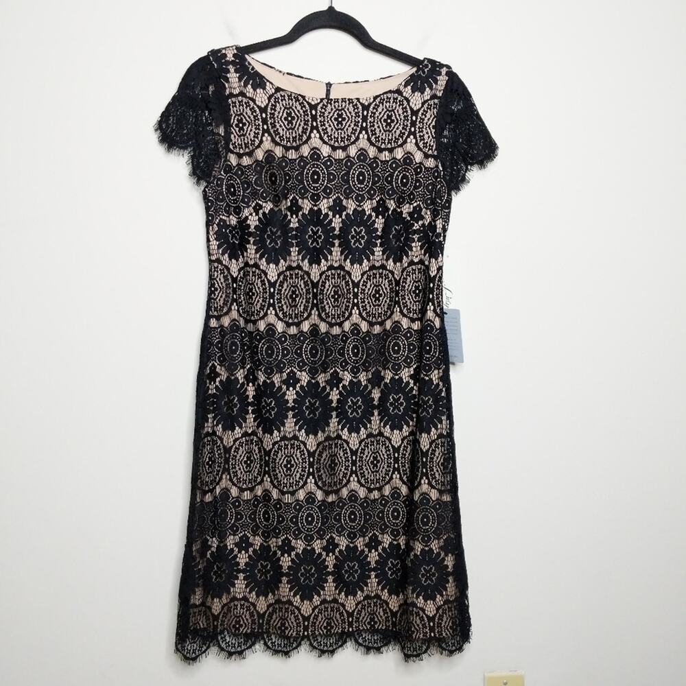 Eliza J Scalloped Lace Dress - Size 6 - NWT